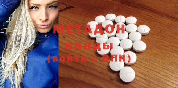 индика Горняк