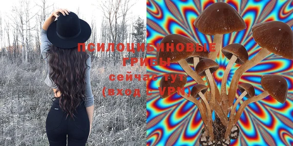 гидропоника Вязники