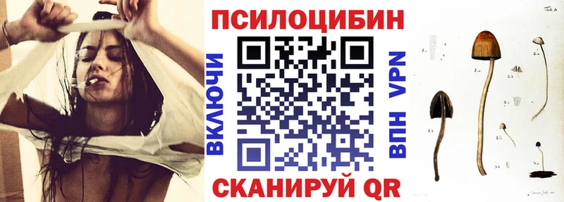 Псилоцибиновые грибы Magic Shrooms  OMG   Дмитровск 
